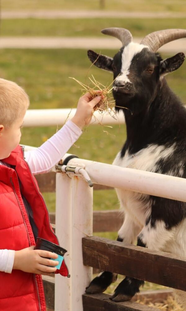 A Weekend in Slavonia