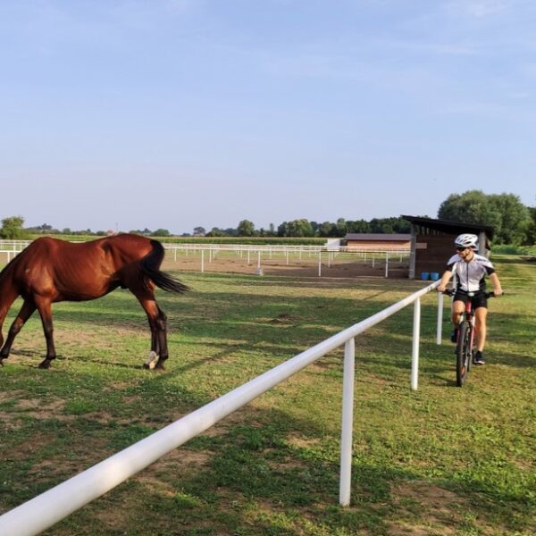 ranč ramarin biciklizam ranč ramarin biciklizam